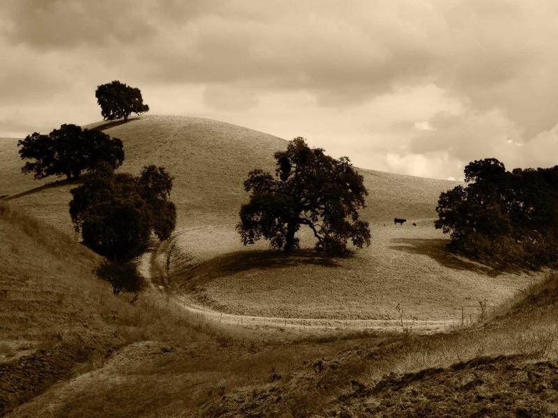 sudoku valid solution screenshot 6